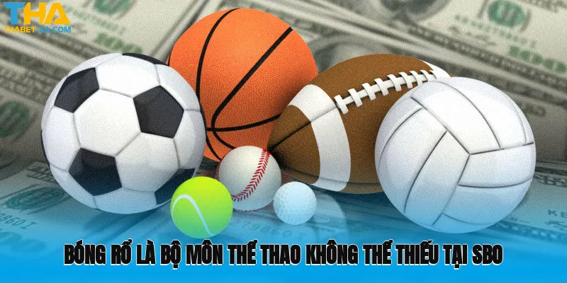 Tại SBO, bóng rổ là môn thể thao chủ lực