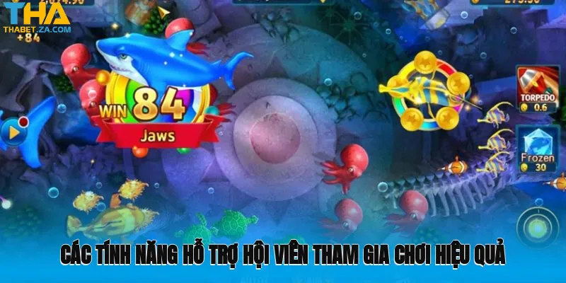 Các tính năng hỗ trợ hội viên tham gia chơi hiệu quả